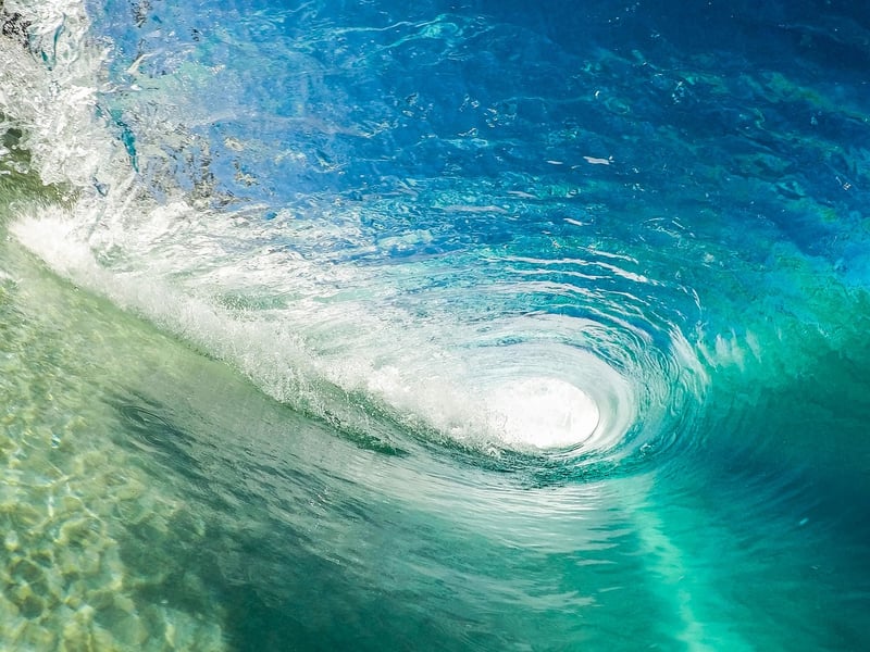 Surfer